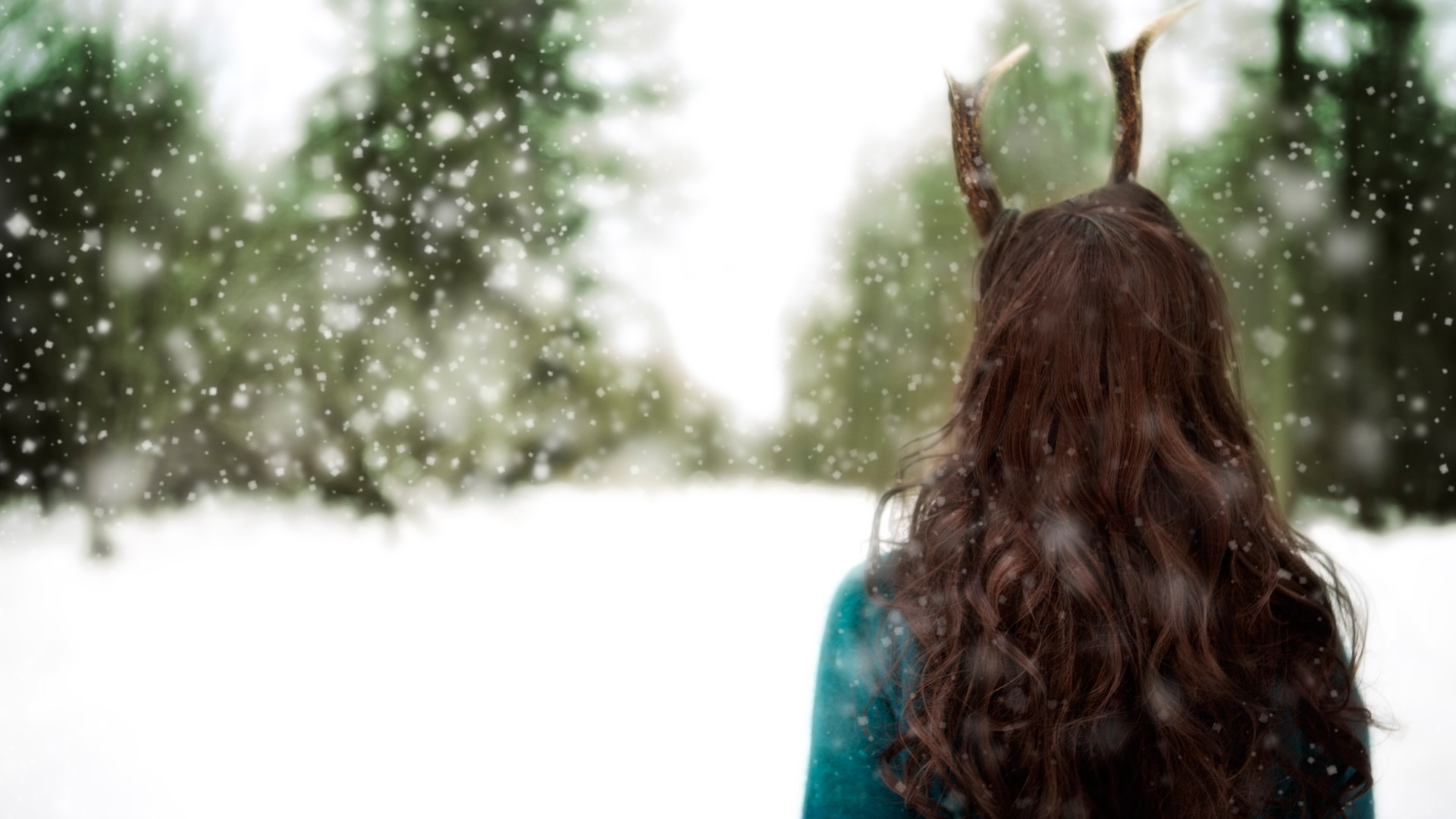 MidWinter