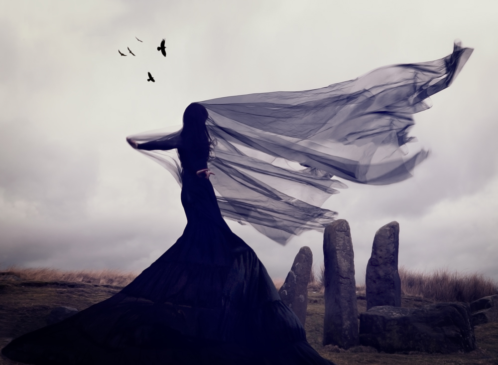 Nicola Taylor Photographer | Raven's Song